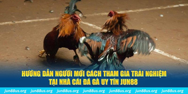 kk vin loi game dot kich ket noi may chu that bai