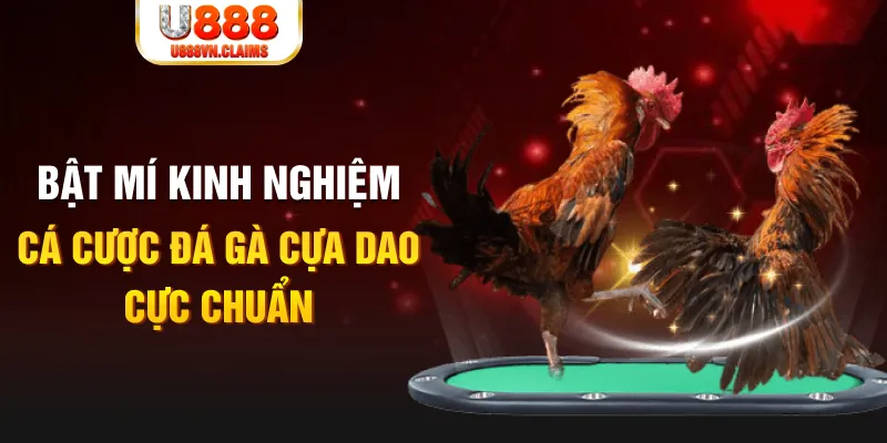 kk vin xổ số miền nam xổ số miền nam