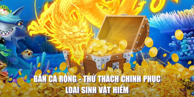 kk vin TP Bắn cá