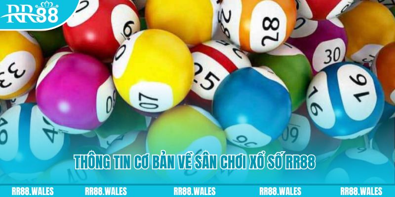 kk vin đá gà hôm nay