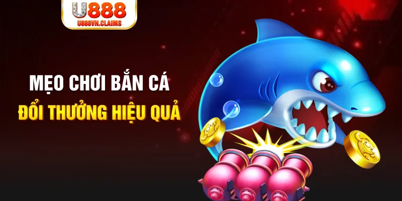 kk vin baccarat có hợp pháp không