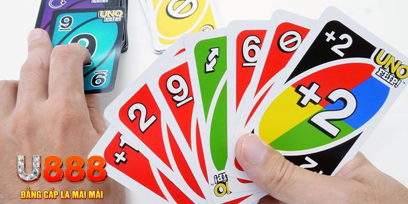 kk vin gà chọi cu cần