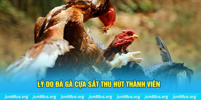 kk vin chiếm slot là gì