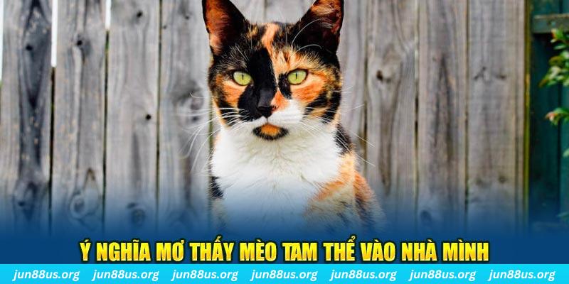 kk vin RTG Bắn cá