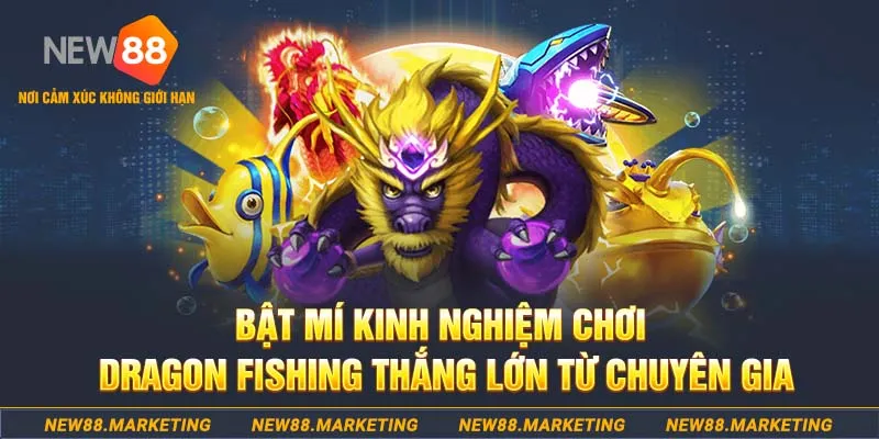kk vin đăng nhập nổ hũ live