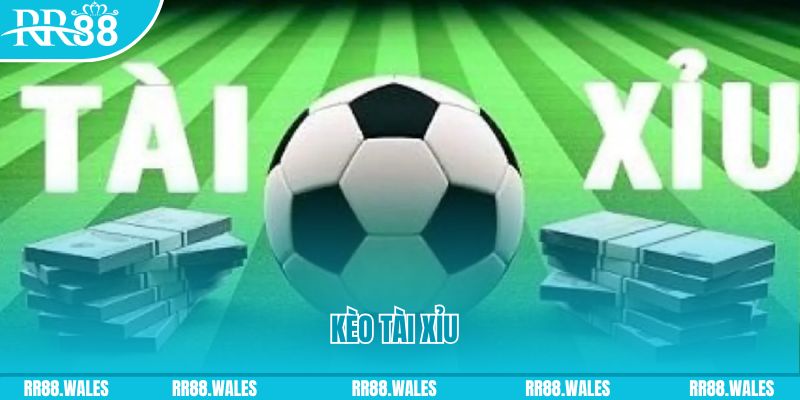 kk vin Giành Chủ Bull Bull